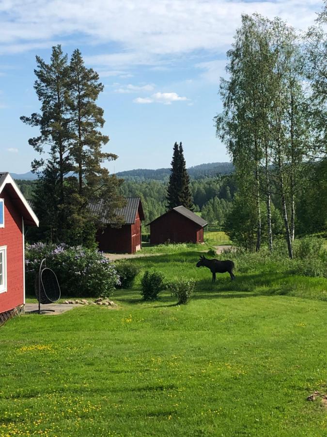 Mysig Timmerstuga Med Braskamin Naera Hovfjaellet Torsby Eksteriør bilde